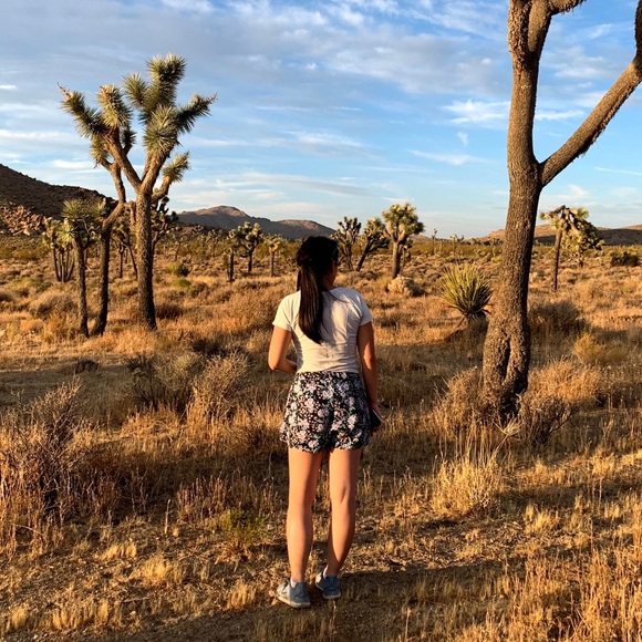 Anthropologie Scarf Printed Shorts (Size XS) - Picture 2 of 6